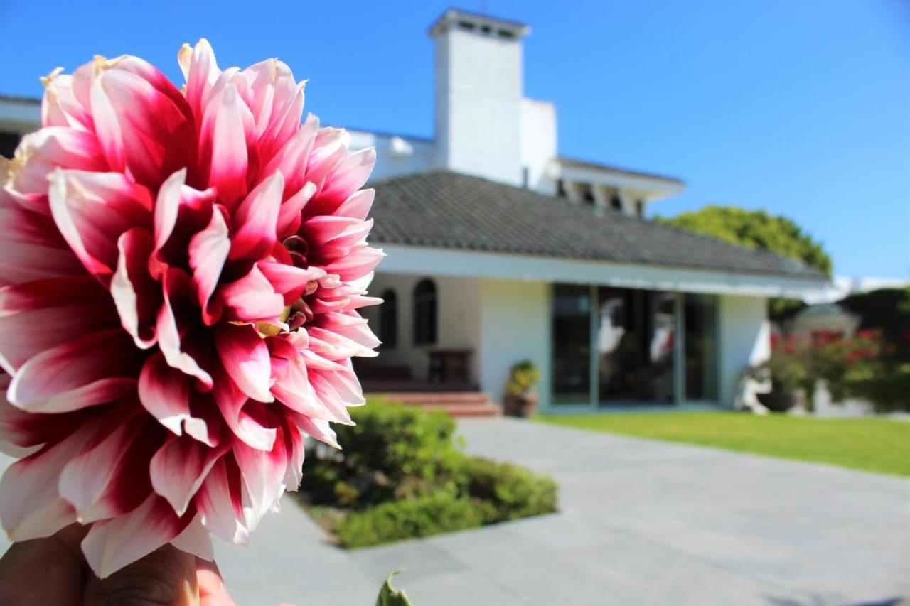 Santo Refugio Heritage Hotel San Pedro Cholula Bagian luar foto