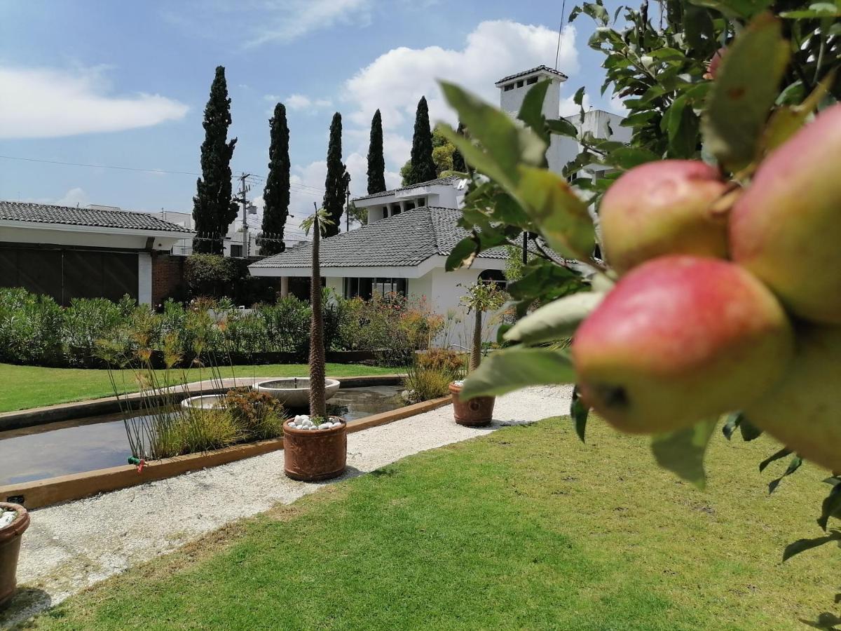 Santo Refugio Heritage Hotel San Pedro Cholula Bagian luar foto